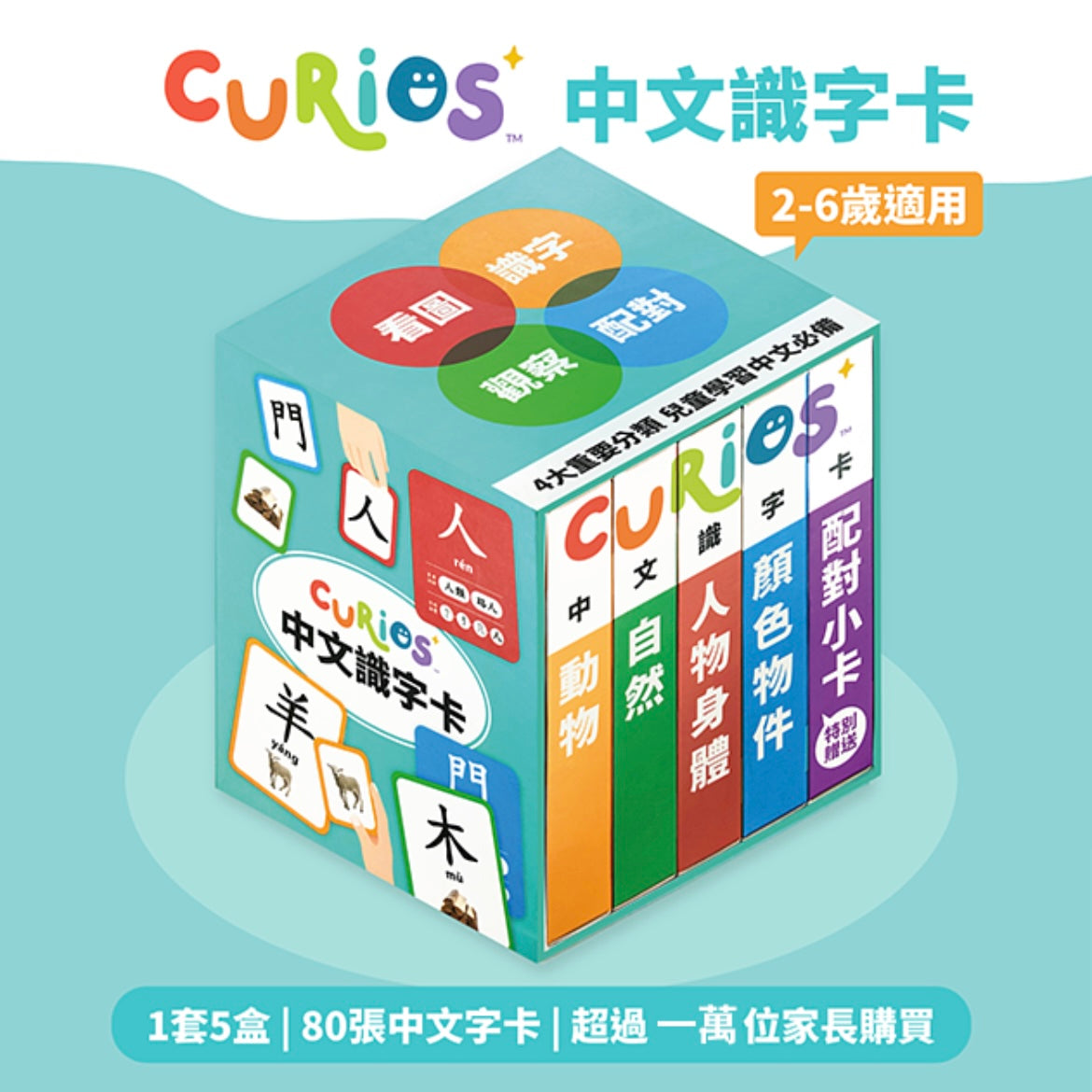 Curios™️ 中文識字卡