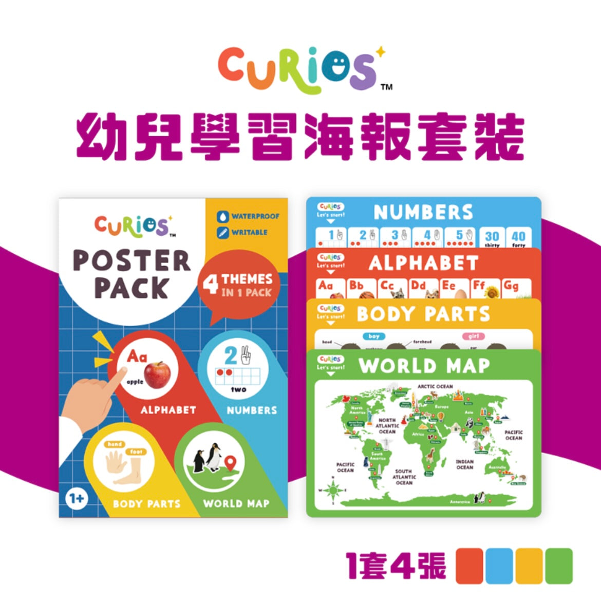 Curios™️ Poster Pack 幼兒學習海報套裝