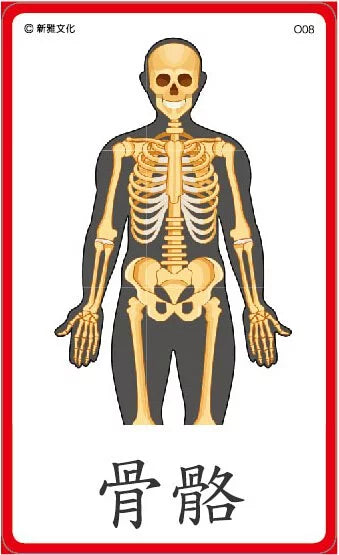 蒙特梭利認知識字三段卡學習套裝〔蒙特梭利教育系列〕